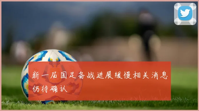 新一届国足备战进展缓慢相关消息仍待确认