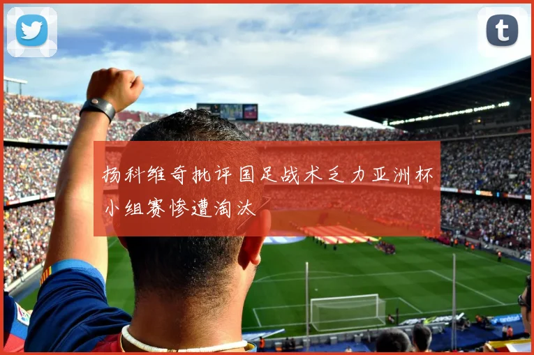 扬科维奇批评国足战术乏力亚洲杯小组赛惨遭淘汰