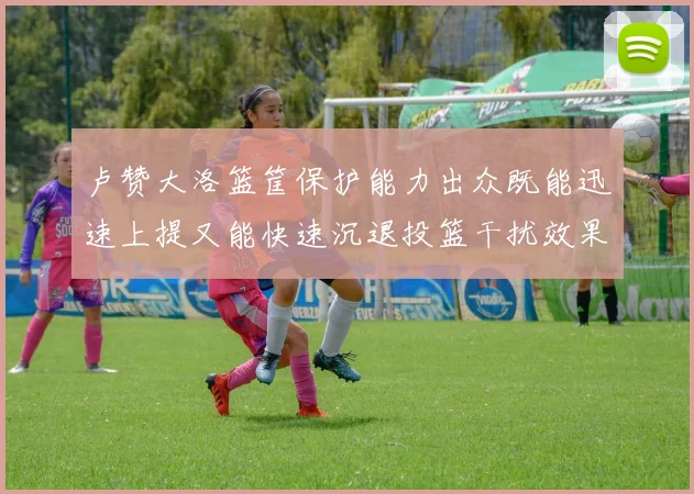 卢赞大洛篮筐保护能力出众既能迅速上提又能快速沉退投篮干扰效果显著