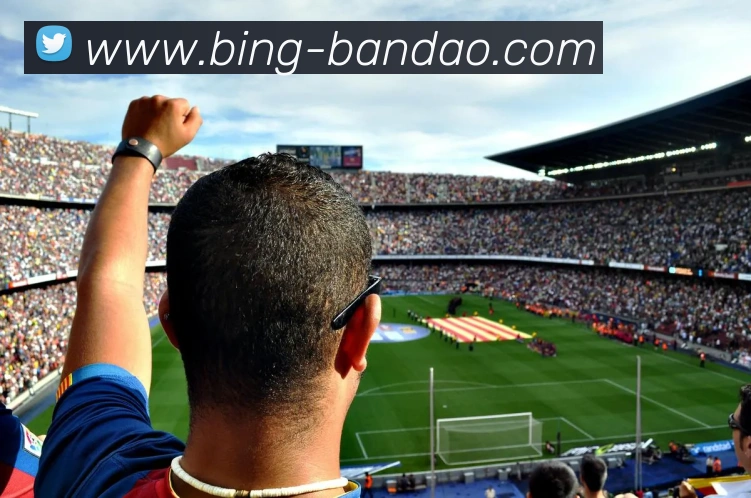 半岛体育APP 体育赛事宣传图